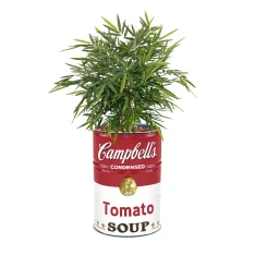 barrelkings-campbells-soup-retro-industrieel-200-l (3)